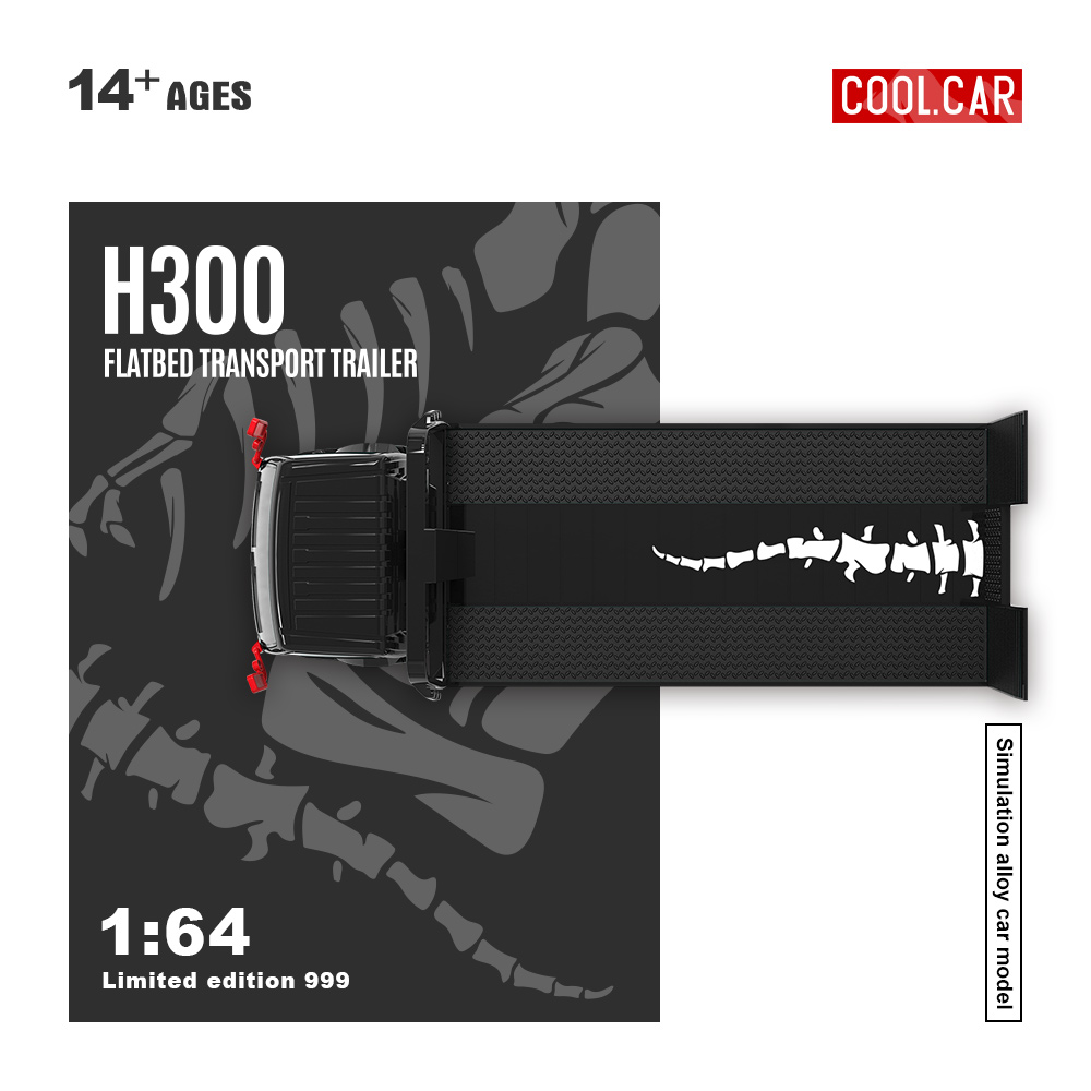 Cool Car 1:64 H300 Flatbed Tra - Die Cast Car 1 64 review and price